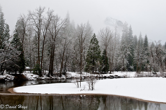 Snowscape