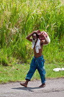 Life on St. Kitts