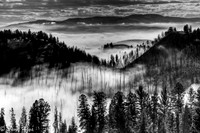 Fog in Valley below Blacktail Plateau Road