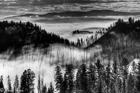 Fog in Valley below Blacktail Plateau Road