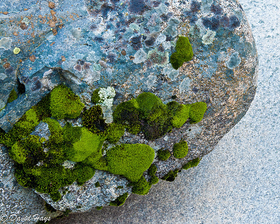 Rock on Stone