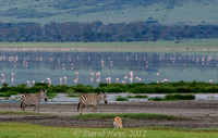 Landscape within Ngorongoro Crater