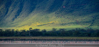 Tanzania 2012
