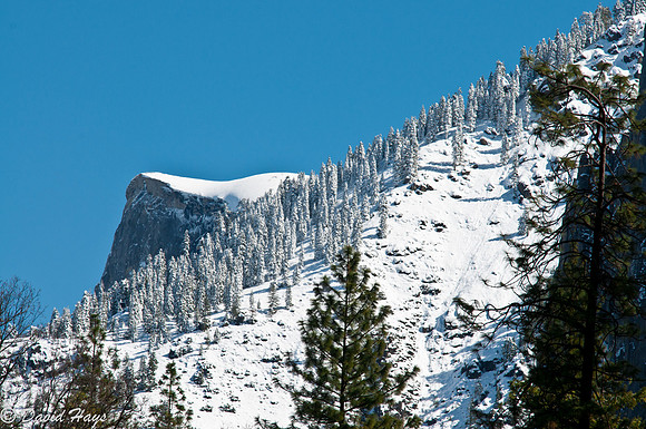 Yosemite-0186